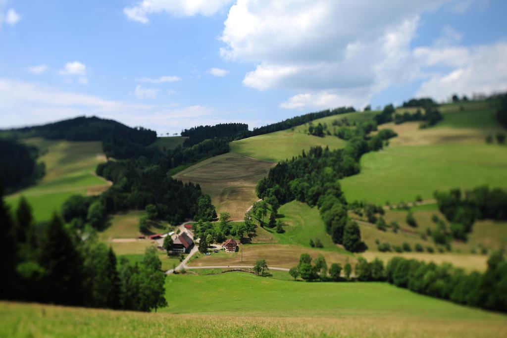 Hotel Haus Maria Lindenberg Sankt Peter Zewnętrze zdjęcie